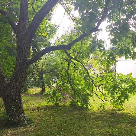 Szepvoelgyi Apartmanhaz Siofok Luaran gambar