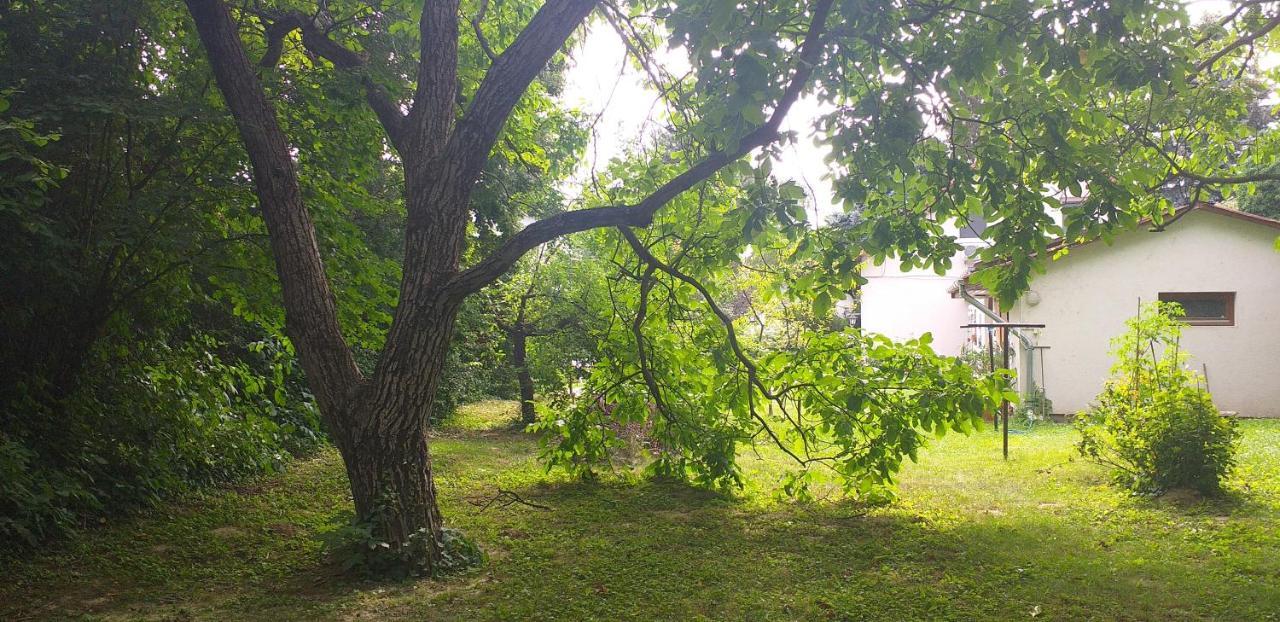 Szepvoelgyi Apartmanhaz Siofok Luaran gambar